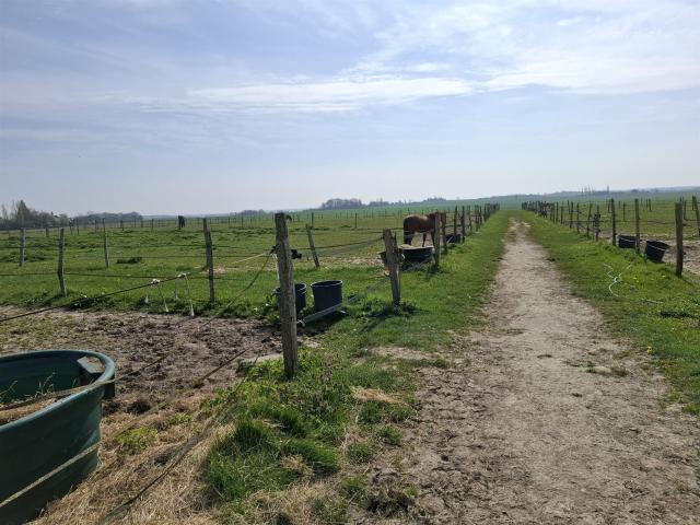 ? Propriété équestre de caractère – Domaine de plus de 250m² Douchy Montcorbon