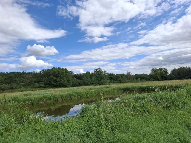 Propriété équestre sur plus de 5 hectares Secteur Forêt 45m² Sancoins