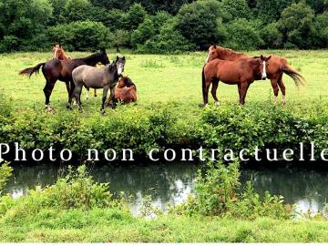 Propriété équestre sur 2 hectares