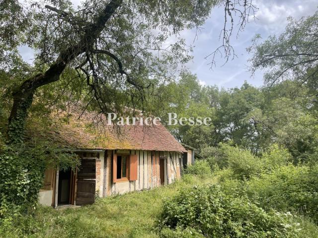 Propriété forestière et territoire de chasse de 150 ha à pro. 80m² Salbris