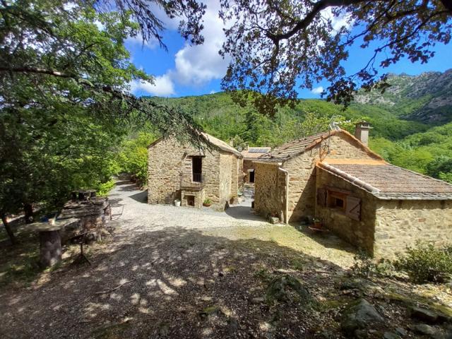Propriété isolée à la campagne, avec gites sur 67470 M2