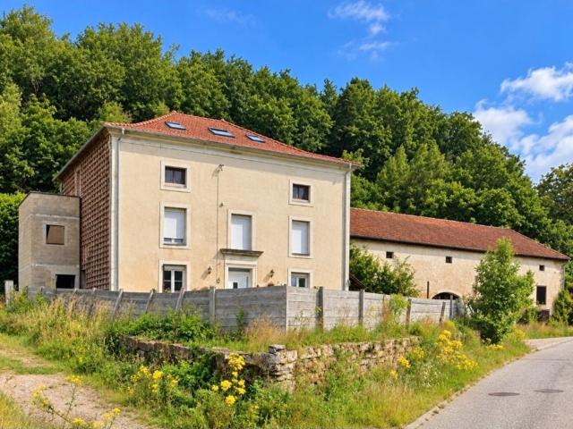 Propriété MAISON à vendre 8 pièces à EPINAL 88 avec DEPENDANCES sur 6262 m2 de TERRAIN