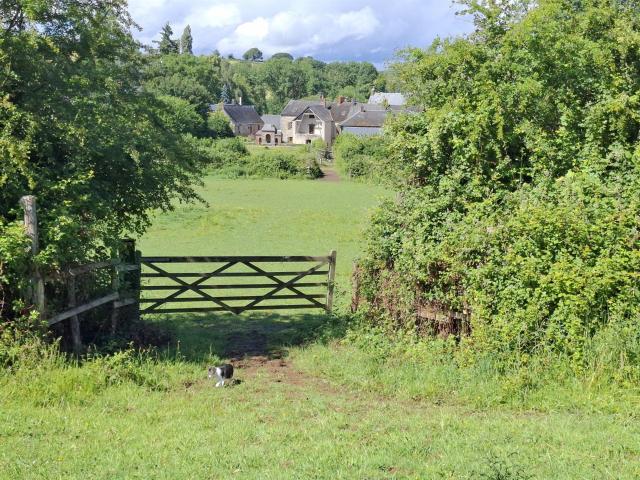 Propriété, maison dépendances et sur 1.9 hectare de terrain 205m² Saint Pierre sur Orthe