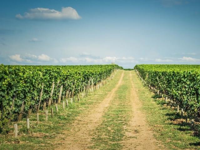 Propriété Saint Émilion 300m²
