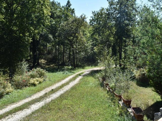 Propriété potentielle bénéficiant d'une tranquillité absolue, au sein d'un somptueux parc de 5 hectares, un véritable havre de verdure
