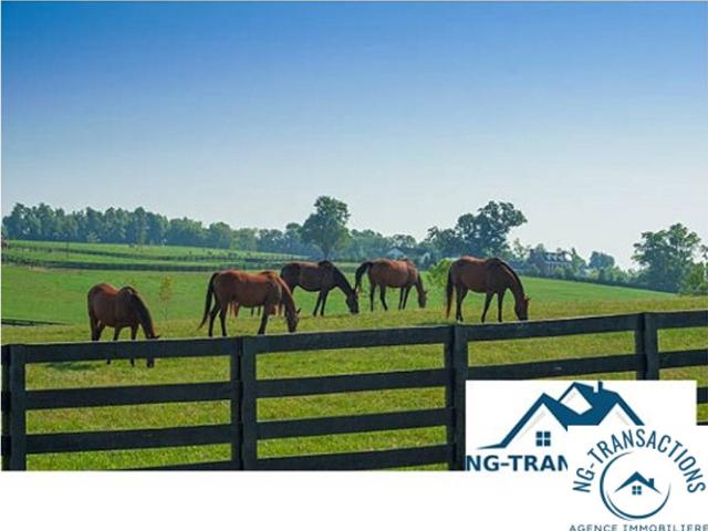 Propriété rurale à vocation agrotouristique et équestre