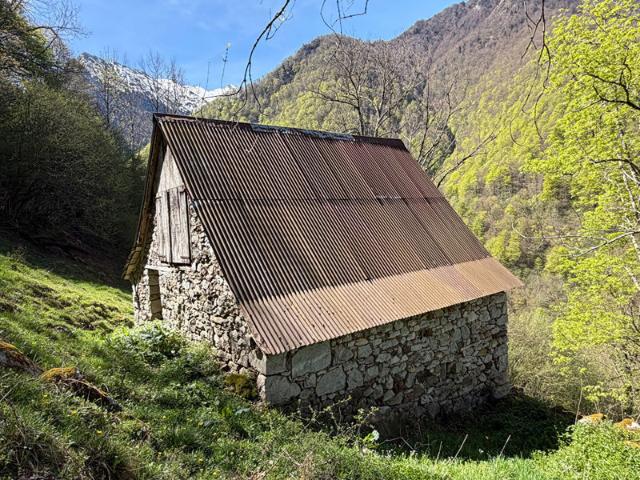 Propriété rurale,3 granges,5 Ha,source,09800