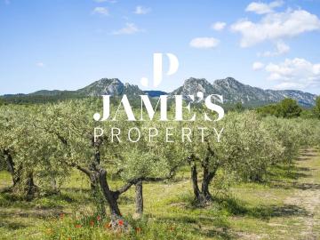 Propriété unique au coeur des Alpilles Eygalières 415m² Eygalières