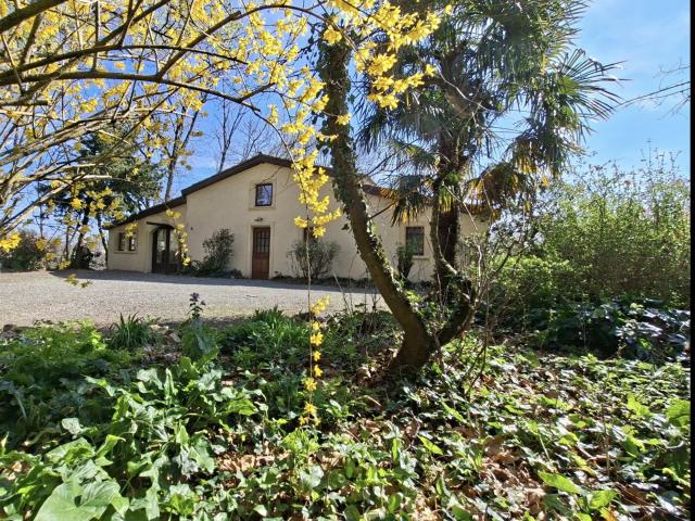 Propriété unique avec rivière, cascades et vue sur les Pyrén. 160m² Saissac