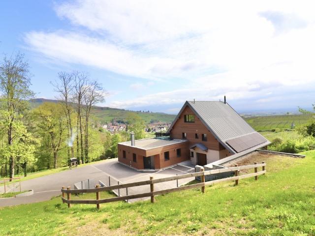 Propriété viticole privée avec vue panoramique à une minut. 295m² Ribeauvillé