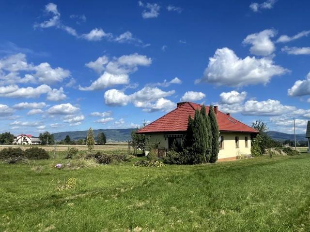 Prosa 1 155 m², Lipowa