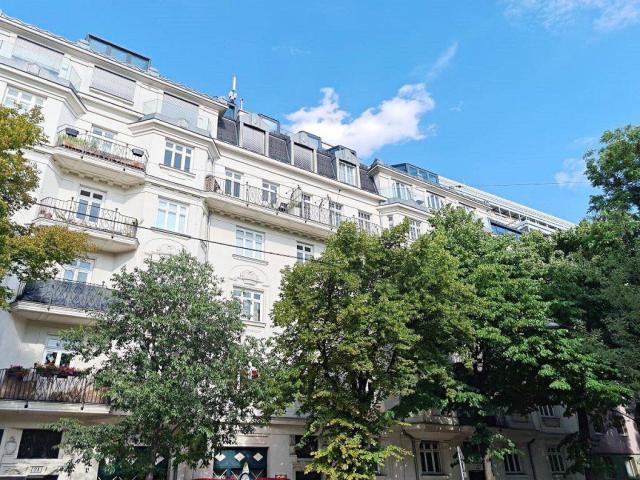 PRATERCOTTAGE, 137 m2 Altbauwohnung, 4 Zimmer, Küche, Wannenbad, Parketten, WG geeignet, Schüttelstraße