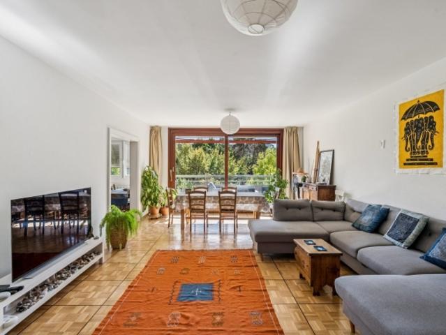 Prächtige 5,5 Zimmer Wohnung in Petit Saconnex