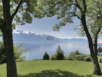 Cité, Genf, Kanton Genf