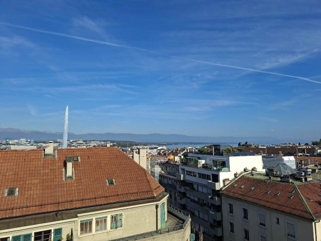 Prächtige Penthouse Wohnung im Herzen der Eaux Vives