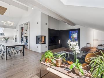 Prächtige Wohnung auf dem Dachboden