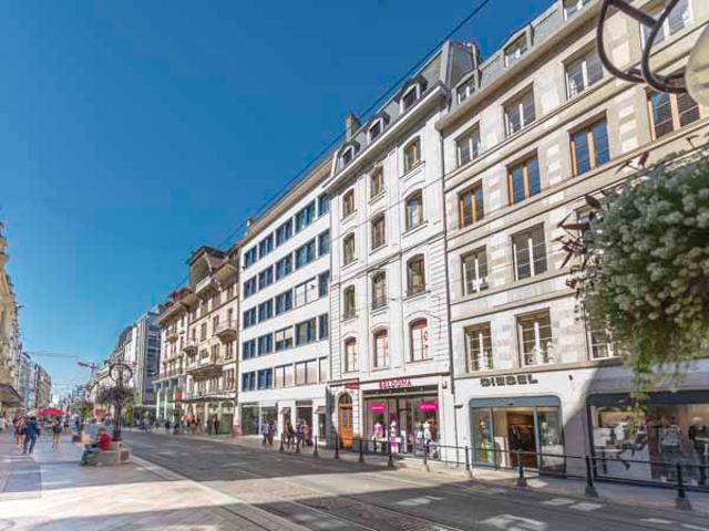 Prächtige Wohnung im Herzen von Genf