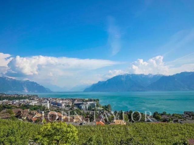 Prächtige Villa im Herzen der Weinberge mit spektakulärer Aussicht