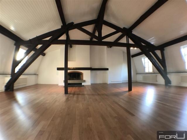 Wunderschönes, grosses, atypisches und renoviertes Atelier im Vieux Carouge
