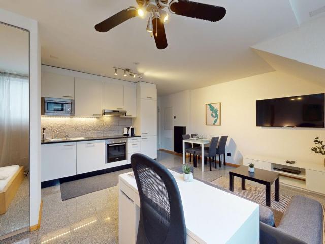 Practical & urban at Train Station SBB Gundeli, Basel Amsterdam Apartments for Rent