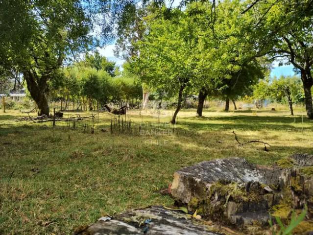 Pradera y bosque nativo i frutillar | 0 dormitorios por 110000. 00 en Frutillar