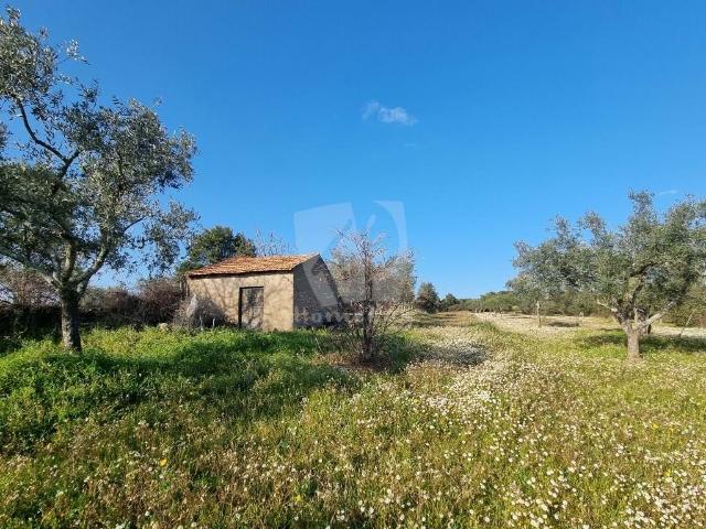 Prado Terreno agrícola de 6000 m2, com poço e uma construção rural de 23m2