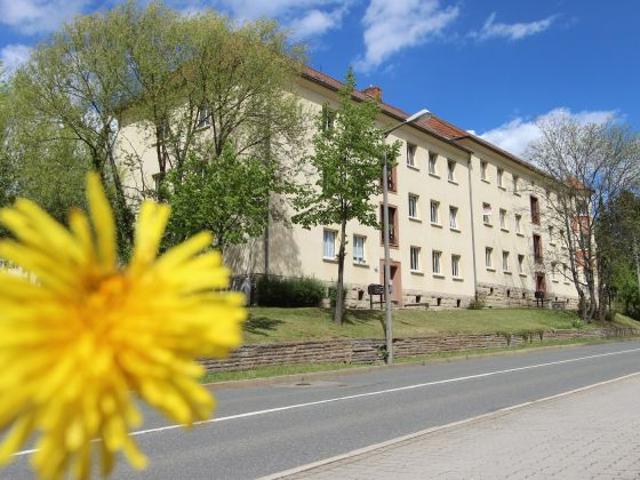 Praktisch geschnittene 3 Raum Whg. in Leumnitz!