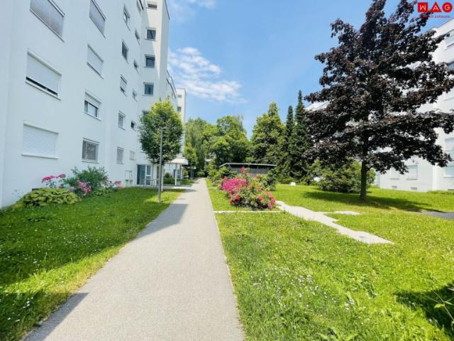 Praktische 1 Zimmer Wohnung mit Parkplatz in Linz/Oed – ideal für Singles & Pendler! Wohnung befindet sich in Sanierung! Bezug: 01. Juli 2026!