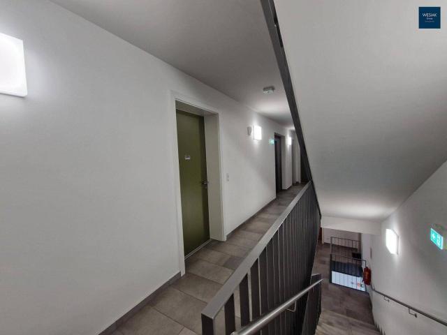 Prangelgasse 2 Zimmerwohnung in Graz Eggenberg mit Balkon zur Vermietung