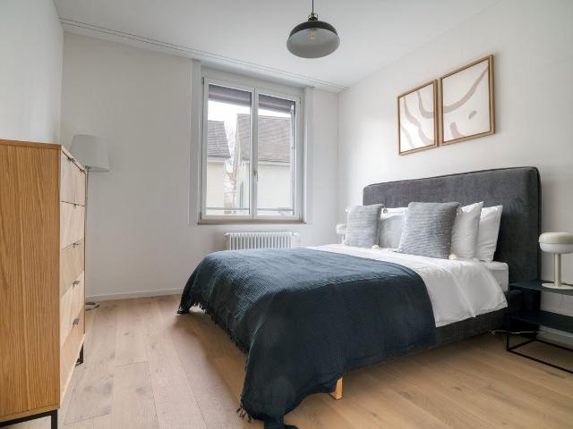 Pretty 1 Bedroom Furnished Apartment in Mühlebach, Zurich Amsterdam Apartments for Rent