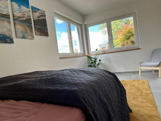 Pretty & charming home in Chemnitz, Chemnitz Amsterdam Apartments for Rent