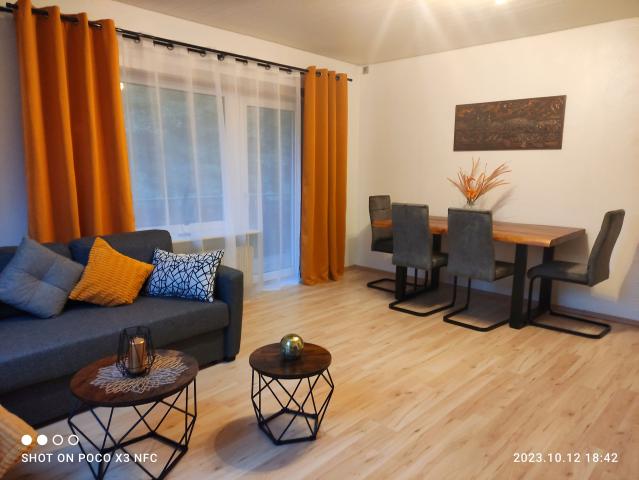 Pretty & awesome apartment in Freudenstadt