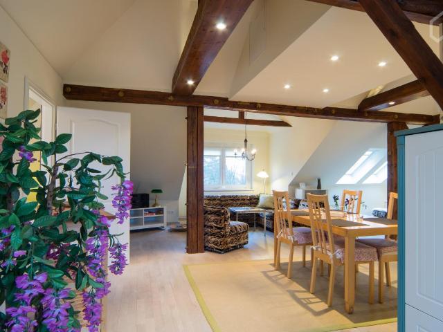 Pretty flat close to city center, Berlin Amsterdam Apartments for Rent