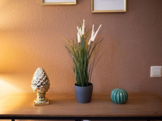 Pretty Home Wild West Zentrum, Chemnitz Amsterdam Apartments for Rent