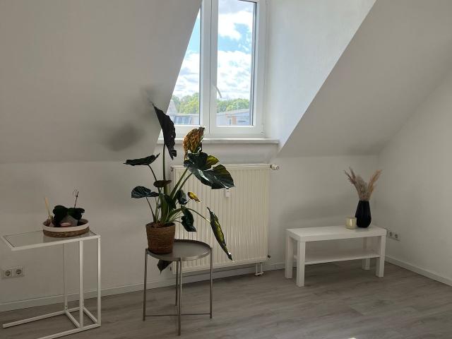 Pretty Home Cozy and Work, Chemnitz Amsterdam Apartments for Rent