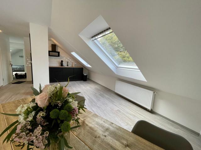 Pretty & neat loft, over the roofs of Dortmund, Dortmund Amsterdam Apartments for Rent
