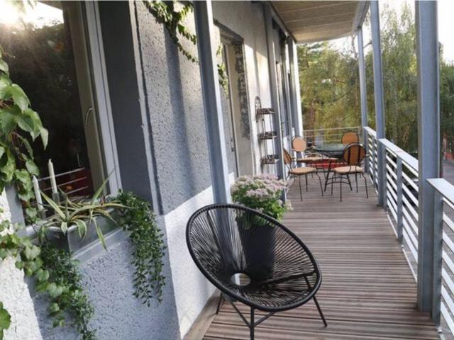 Pretty suite with balcony in the middle of Dresden, Dresden Amsterdam Apartments for Rent