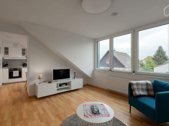 Pretty, wonderful flat, Koln Amsterdam Apartments for Rent