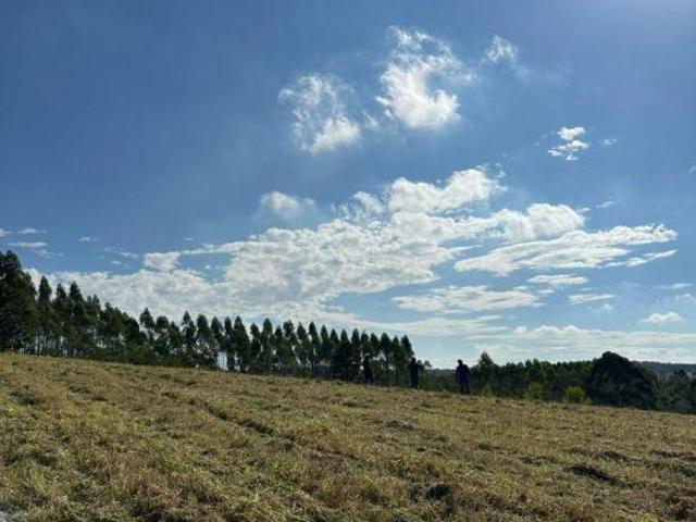 Pré lançamento em Mairinque: Apenas 7 primeiros lotes de 500m² por R$ 89.999