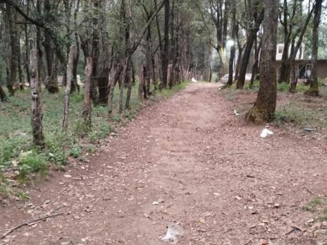PRECIO DE OPORTUNIDAD P/CONSTRUCTORES, VENTA TERRENO JILOTZINGO