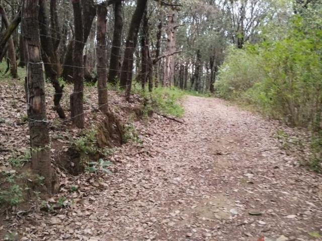 PRECIO DE OPORTUNIDAD P/CONSTRUCTORES, VENTA TERRENO JILOTZINGO