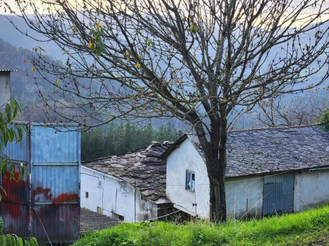SE VENDE CASA CON CAPILLA Y TERRENOS EN VILLAYON ASTURIAS