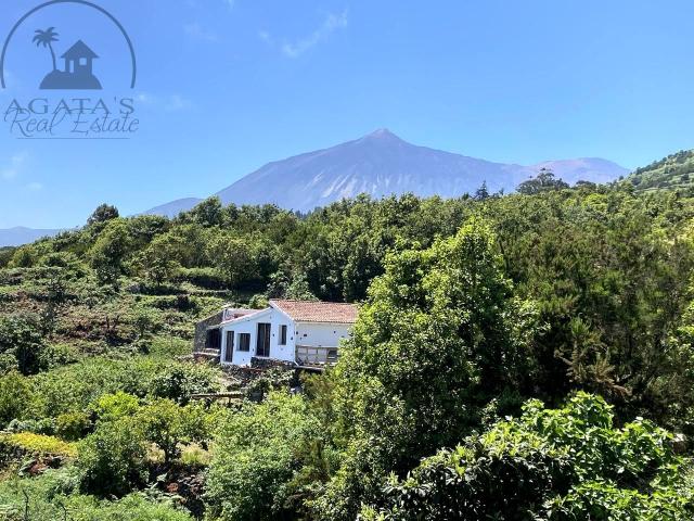 Preciosa casa de campo, 2 apartamentos vacacionales y finca. 210m² Garachico