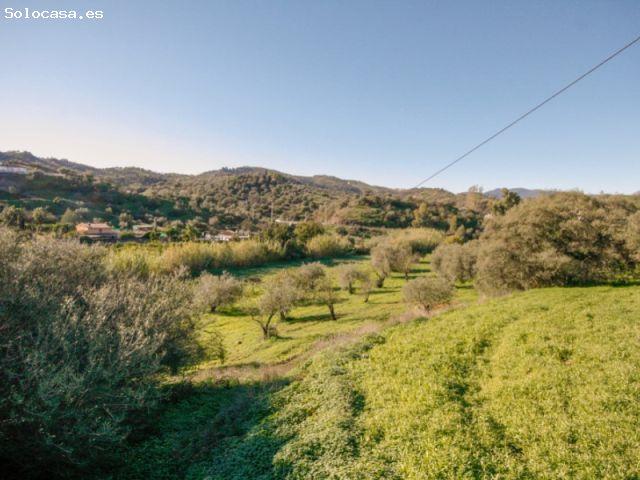 PRECIOSA FINCA LLANA CON ALMACEN