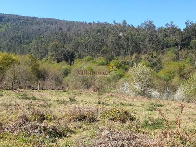 PRECIOSA FINCA RÚSTICA CERRADA CON MURO PIEDRA, EN ESCOBEIRO MONDARIZ, MUY CERCA BALNEARIO