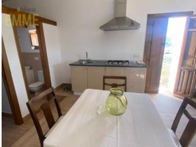 PRECIOSA FINCA RÚSTICA CON CASA REFORMADA
