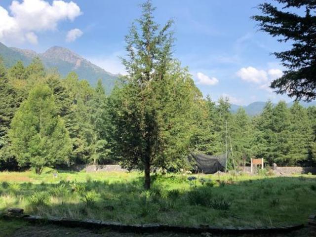 PRECIOSO Terreno Carretera Picacho Ajusco Km 15 Escrituras inscritas en RPP