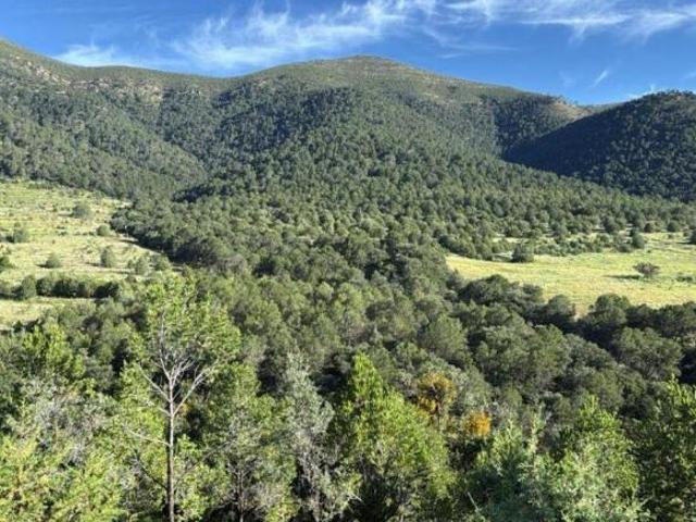 Precioso terreno en Santa Rosa, Arteaga