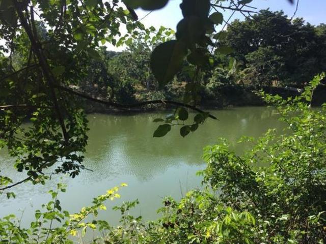 PRECIOSO TERRENO EN VENTA FRENTE AL ESTERO DE JUANA MOZA, TUXPAN, VER