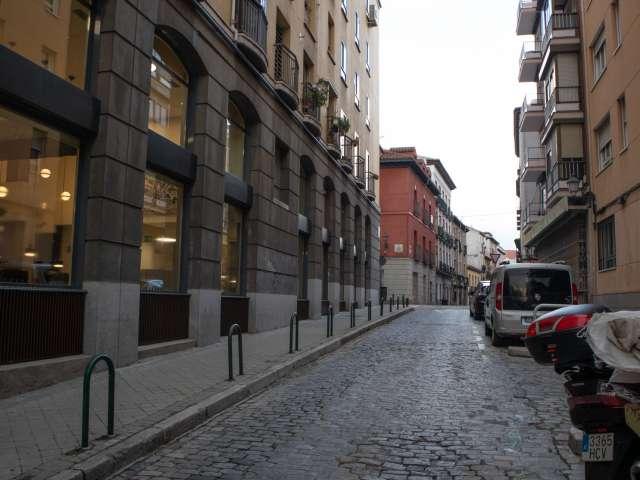 Precioso apartamento de 1 dormitorio en alquiler en La Latina, Madrid